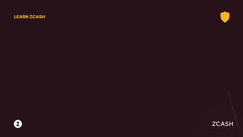 Zcash Thriving: Real Momentum or Paid Promotion? – What Reddit is Saying